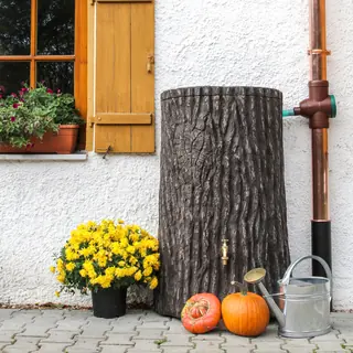 Regentonne Baumstamm EVERGREEN LITE 300 Liter braun von Prosperplast